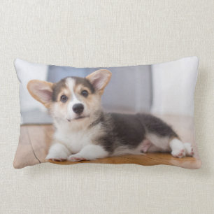 Pembroke Welsh Corgi Puppy Lumbar Cushion