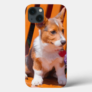 Pembroke Welsh Corgi puppy sitting in park bench iPhone 13 Case