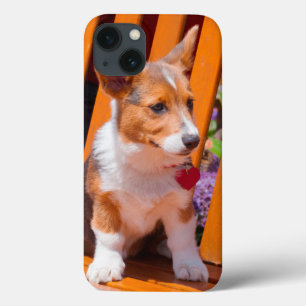 Pembroke Welsh Corgi puppy sitting in park bench iPhone 13 Case