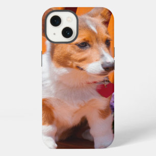 Pembroke Welsh Corgi puppy sitting in park bench iPhone Case