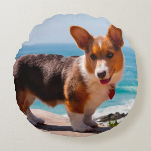 Pembroke Welsh Corgi puppy standing on table Round Cushion