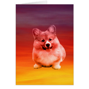 Pembroke Welsh Corgi Sitting On Beach