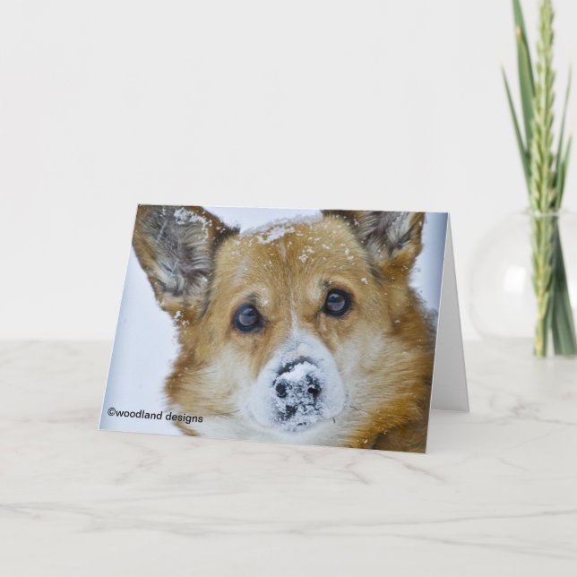 PEMBROKE WELSH CORGI SNOW NOSE CARD (Front)