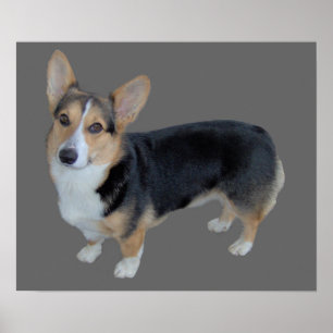 Pembroke Welsh Corgi Soulful Print