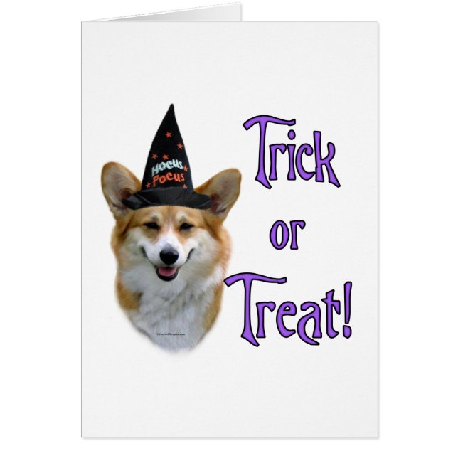 Pembroke Welsh Corgi Trick (Front)