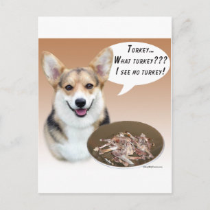Pembroke Welsh Corgi Turkey Postcard