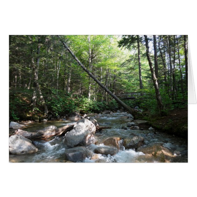 Pemigewasset River Bridge in New Hampshire (Front Horizontal)