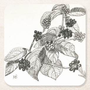 Pen and Ink Blackberries Square Paper Coaster