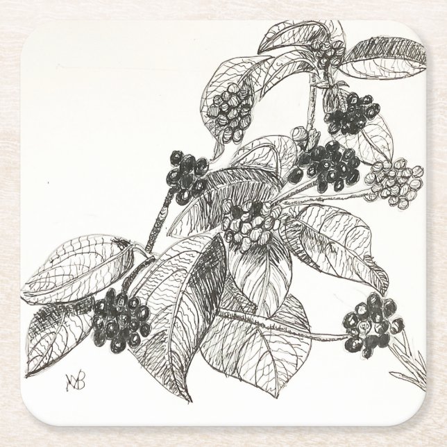 Pen and Ink Blackberries Square Paper Coaster (Front)