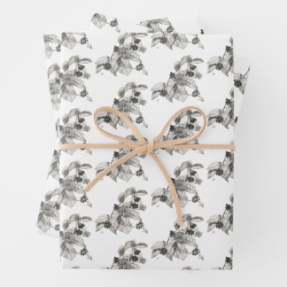 Pen and Ink Blackberries Wrapping Paper Sheet