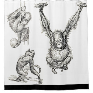 Pen/Ink Art Zoo Orangutan Kids Shower Curtain