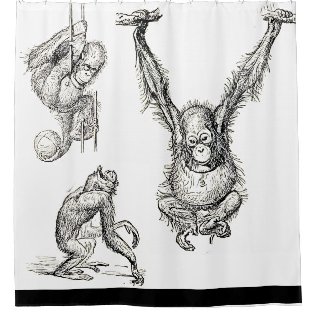 Pen/Ink Art Zoo Orangutan Kids Shower Curtain (Front)