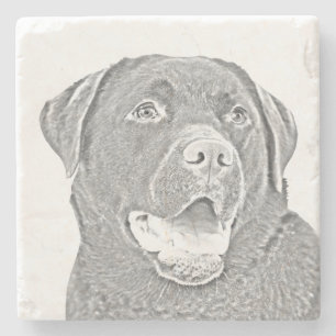 Pencil Chocolate Lab Marble Coaster