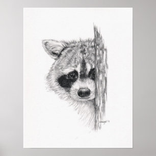 Pencil Drawing 'Peeking Racoon' Poster