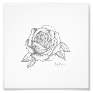 Pencil Rose Print - Satin Finish Paper
