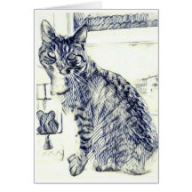 Pencil sketch of a cat on a blank card