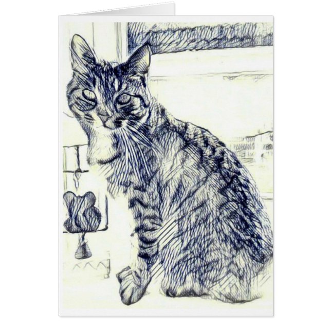 Pencil sketch of a cat on a blank card (Front)