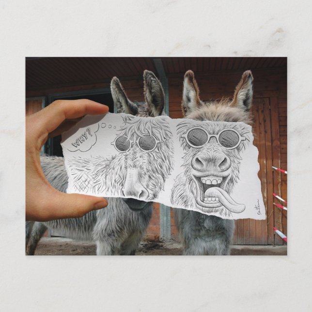 Pencil Vs Camera - Crazy Donkeys Postcard (Front)