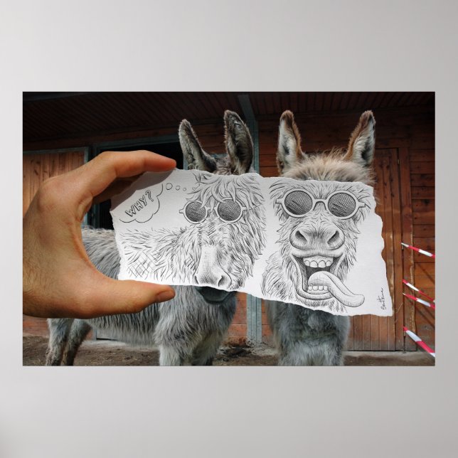 Pencil Vs Camera - Crazy Donkeys Poster (Front)