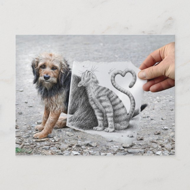 Pencil Vs Camera - Dog and Cat Postcard (Front)
