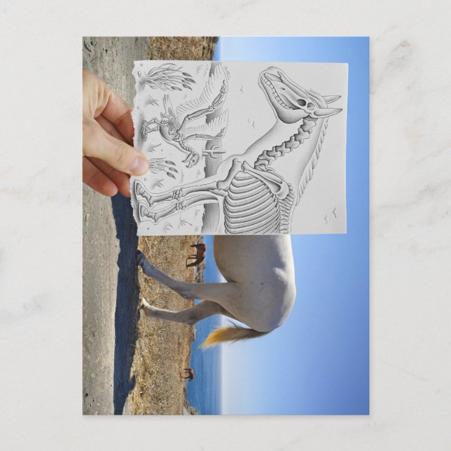 Pencil Vs Camera - X-Ray Postcard (Front)