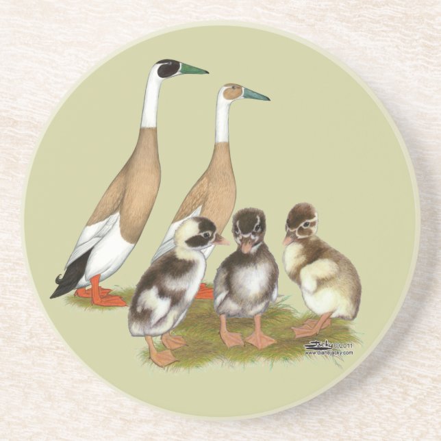 Penciled Runner Duck Family Coaster (Front)
