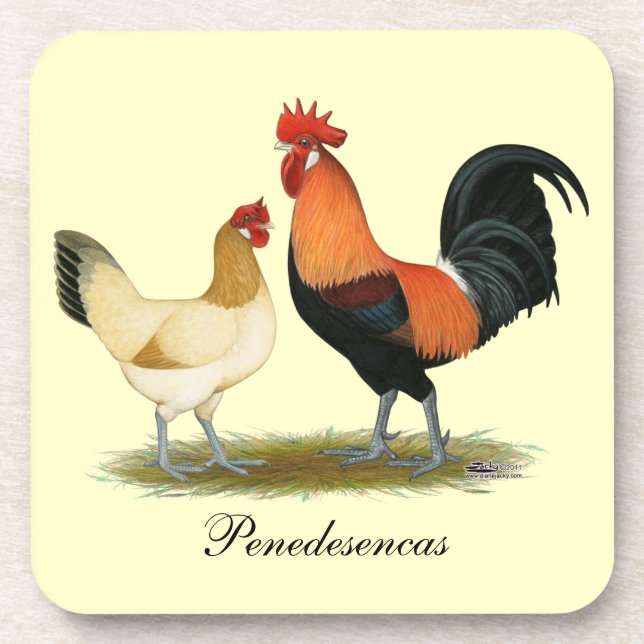 Penedesenca Chickens Coaster (Front)