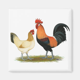 Penedesenca Chickens Magnet