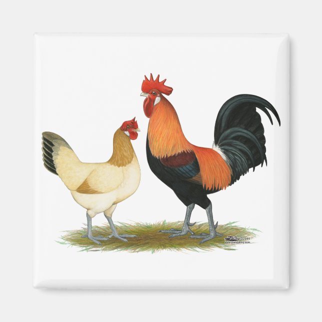 Penedesenca Chickens Magnet (Front)