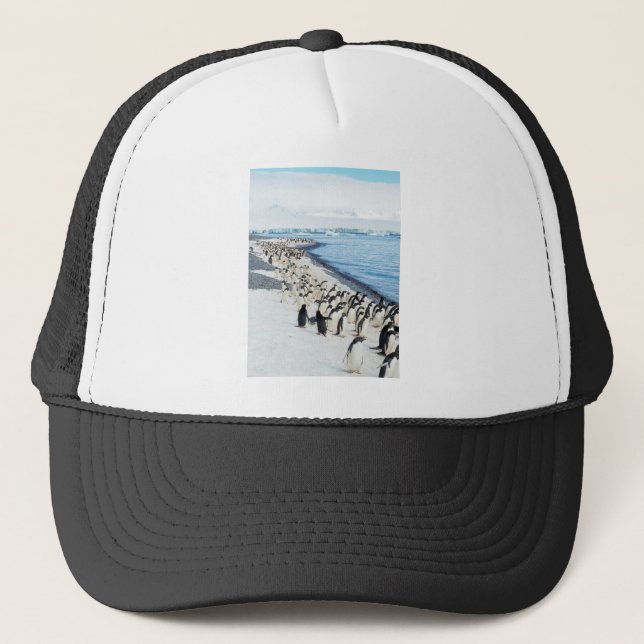 Pengiuns on a beach trucker hat (Front)