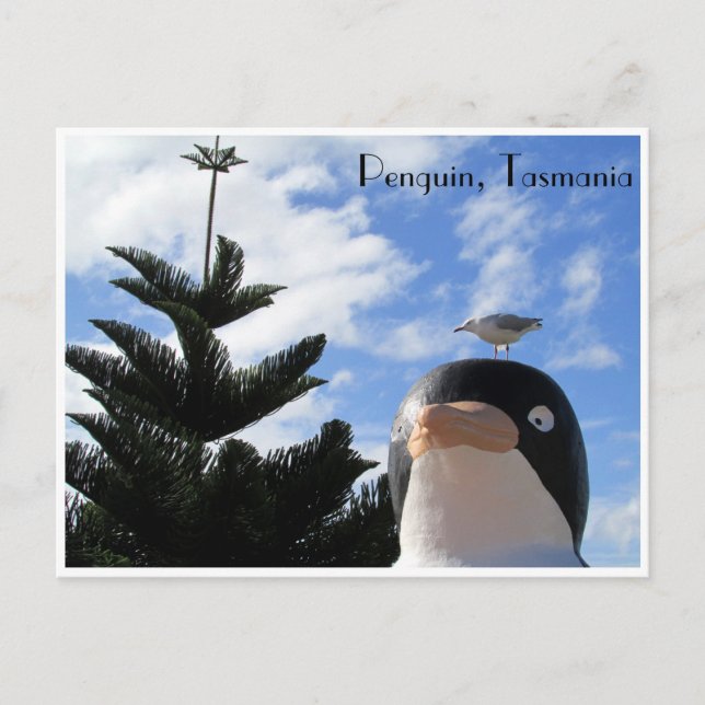 penguin and gull postcard (Front)