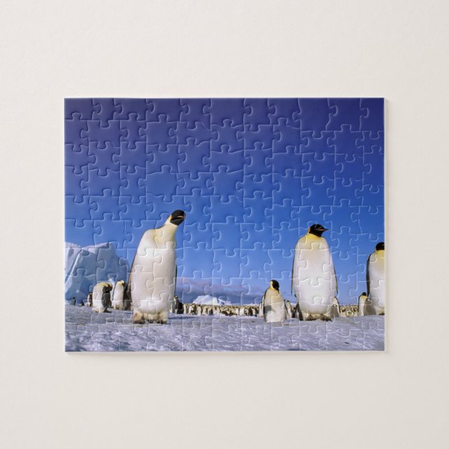 Penguin | Antarctica, Antarctic Peninsula Jigsaw Puzzle (Horizontal)