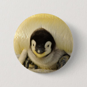 Penguin baby 6 cm round badge