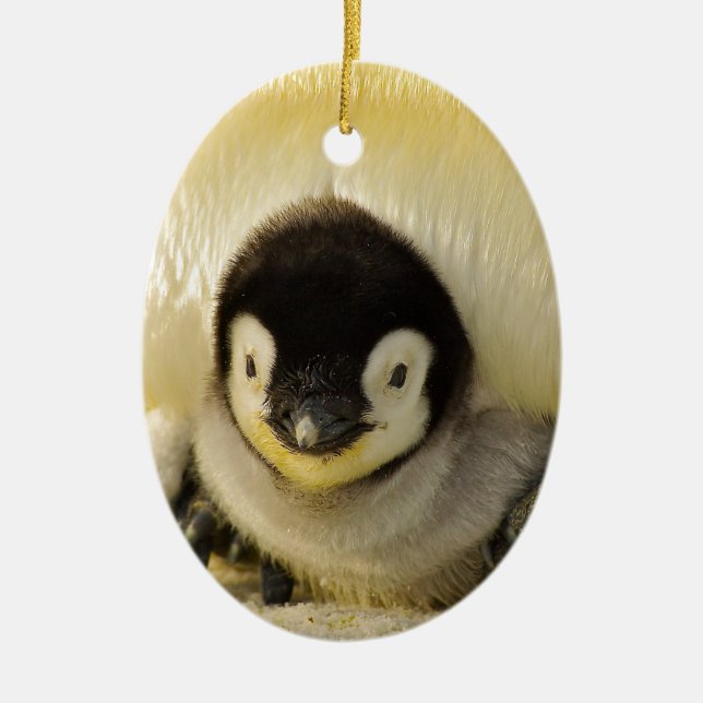 Penguin baby ceramic ornament (Front)
