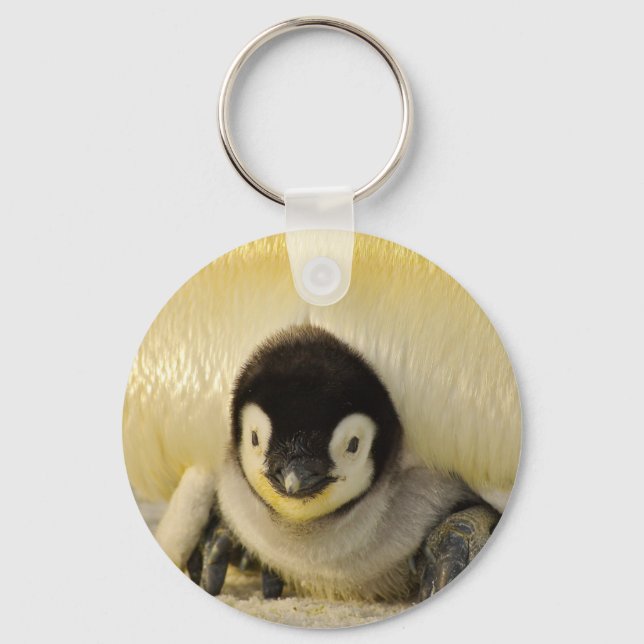 Penguin baby key ring (Front)