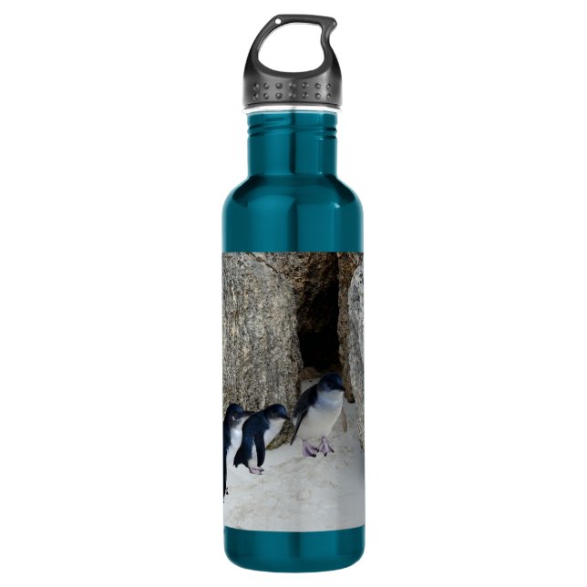 Penguin Beach House,   710 Ml Water Bottle (Front)