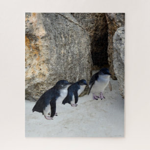 Penguin Beach House, Jigsaw Puzzle