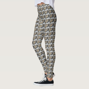 Penguin Beach House,   Leggings