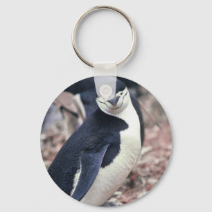 Penguin Bird Cute Animal Black White Water Key Ring