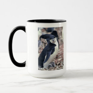 Penguin Bird Cute Animal Black White Water Mug