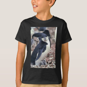Penguin Bird Cute Animal Black White Water T-Shirt