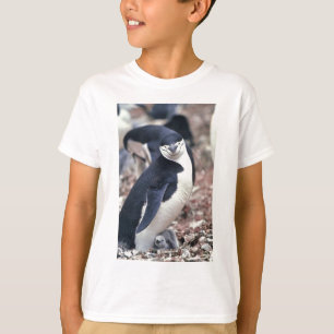 Penguin Bird Cute Animal Black White Water T-Shirt