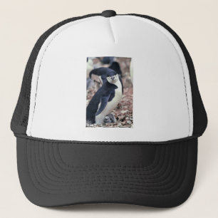 Penguin Bird Cute Animal Black White Water Trucker Hat