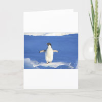 Penguin Bird Feathers Black White Personalise Name
