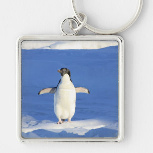 Penguin Bird Feathers Black White Personalise Name Key Ring