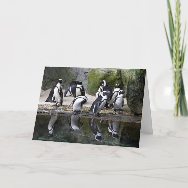 Penguin Blank Greeting Card (Front)