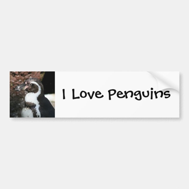 Penguin Bumper Sticker (Front)