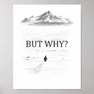 Penguin But Why Mountains  Poster