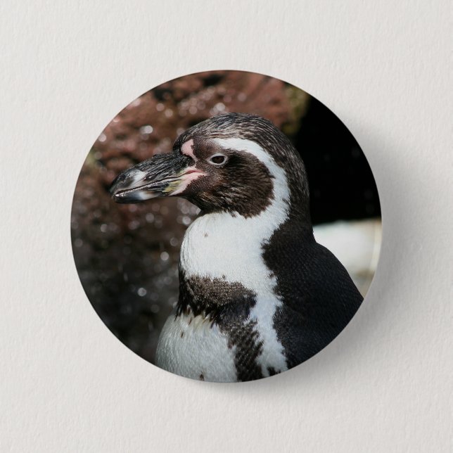 Penguin Button (Front)