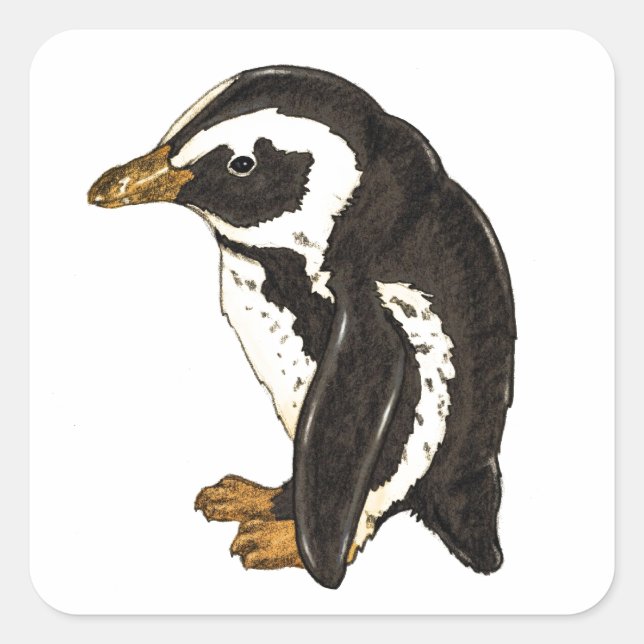 Penguin by Liesel Bendio Potter Square Sticker (Front)